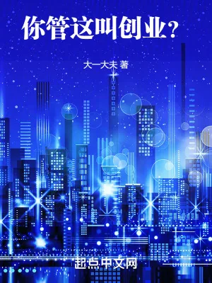 《你管这叫创业？》小说封面