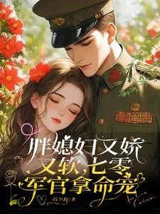 《胖媳妇又娇又软，七零军官拿命宠》小说封面