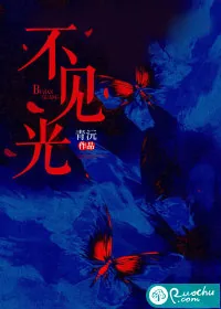 《不见光》小说封面