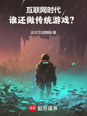 《互联网时代，谁还做传统游戏？》小说封面
