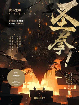 《圣拳！》小说封面
