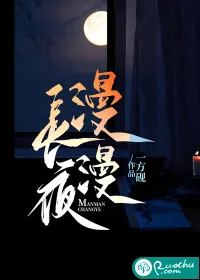 《漫漫长夜》小说封面