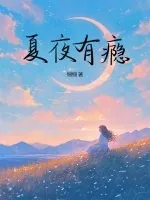 《夏夜有瘾》小说封面