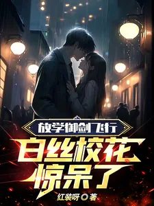 《放学御剑飞行，白丝校花惊呆了》小说封面