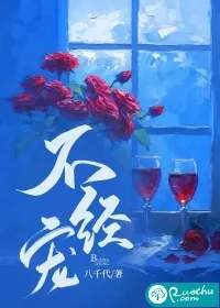 《不经宠》小说封面
