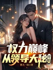 《权力巅峰：从领导大秘开始》小说封面