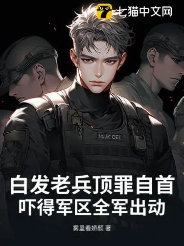 《白发老兵顶罪自首，吓得军区全军出动》小说封面