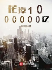 《花掉1000000亿》小说封面