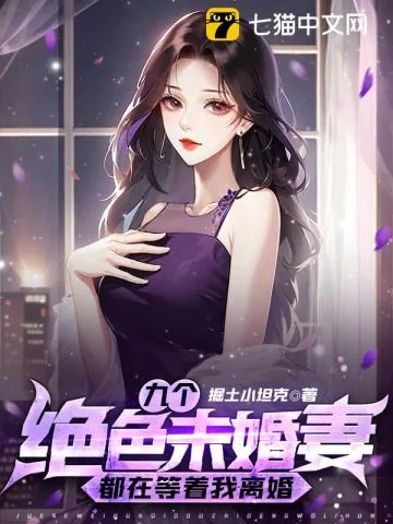 《九个绝色未婚妻都在等着我离婚》小说封面