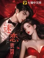 《迷恋责罚》小说封面