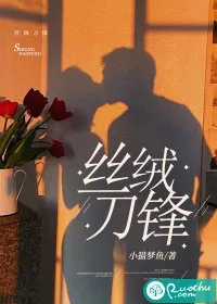 《丝绒刀锋》小说封面