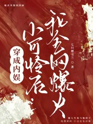 《穿成内娱小可怜后，我全网爆火》小说封面