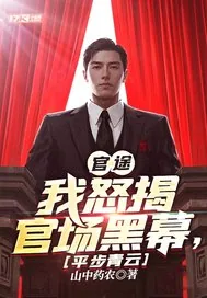 《官途：我怒揭官场黑幕，平步青云》小说封面