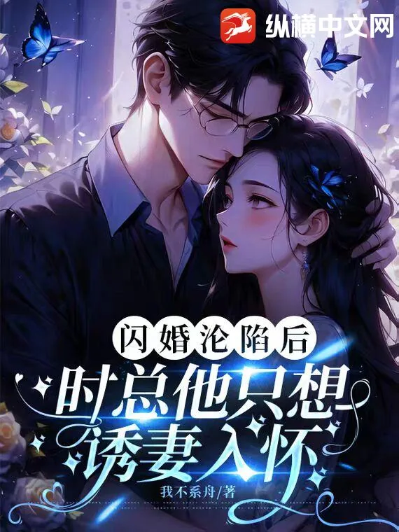 《闪婚沦陷后，时总他只想诱妻入怀》小说封面