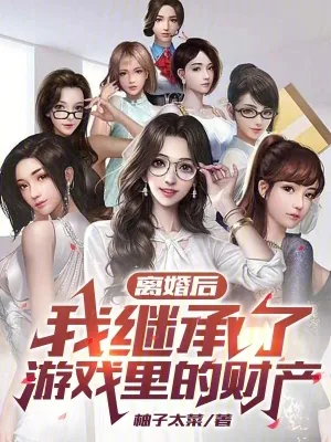 《离婚后，我继承了游戏里的财产》小说封面
