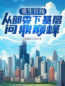 《重生官场：从部委下基层问鼎巅峰》小说封面