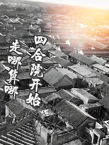 《四合院开始走到哪算哪》小说封面