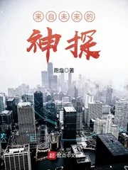 《来自未来的神探》小说封面