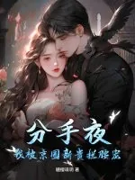 《分手夜，我被京圈新贵拦腰宠！》小说封面