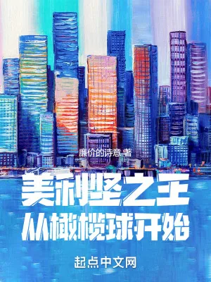 《美利坚之王从橄榄球开始》小说封面
