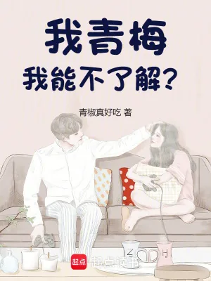 《我青梅，我能不了解？》小说封面
