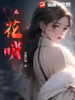 《花哨》小说封面