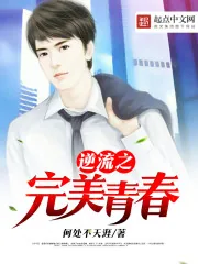 《逆流完美青春》小说封面