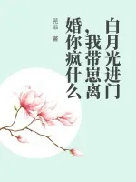 《白月光进门，我带崽离婚你疯什么》小说封面