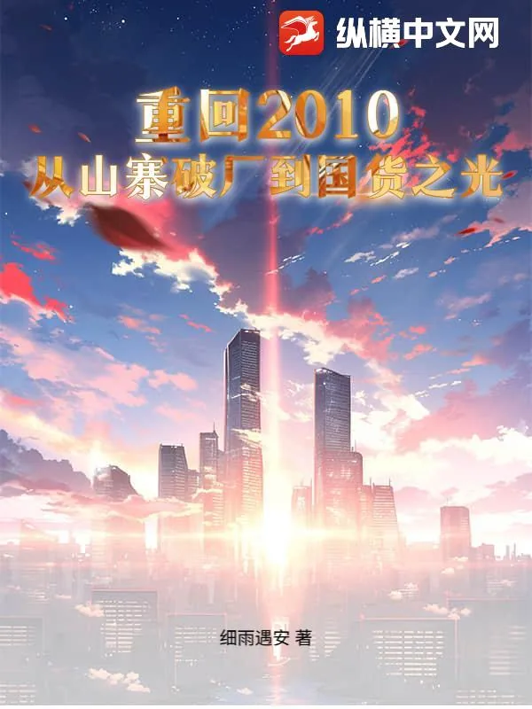 《重回2010：从山寨破厂到国货之光》小说封面