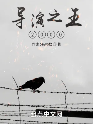 《导演之王2000》小说封面