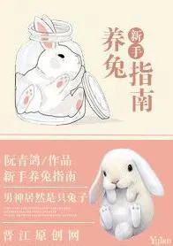 《新手养兔指南》小说封面