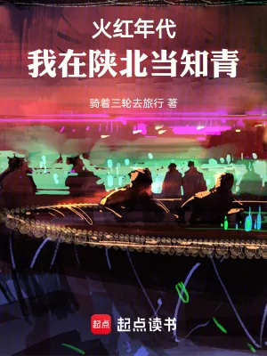 《火红年代，我在陕北当知青》小说封面
