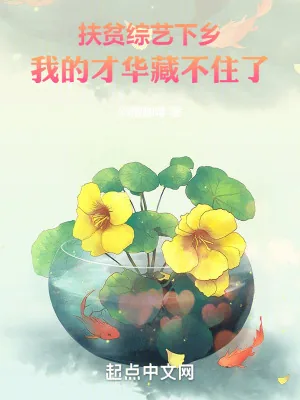 《扶贫综艺下乡，我的才华藏不住了》小说封面