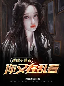 《透视不赌石，你又在乱看》小说封面