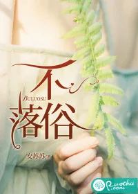 《不落俗》小说封面