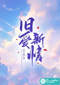 《旧爱新情》小说封面
