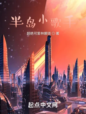 《半岛小歌手》小说封面