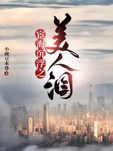 《官海沉浮之美人泪》小说封面