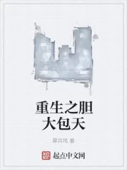 《重生之胆大包天》小说封面