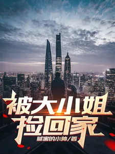 《被大小姐捡回家》小说封面