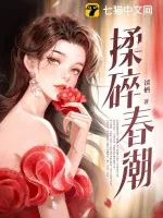 《揉碎春潮》小说封面