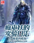 《疯巫妖的实验日志》小说封面