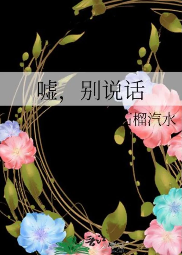 《嘘，别说话》小说封面