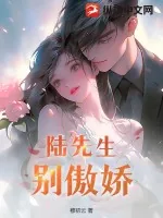 《陆先生别傲娇》小说封面