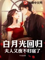 《白月光回归，夫人又夜不归宿了》小说封面