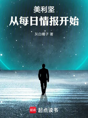 《美利坚：从每日情报开始》小说封面