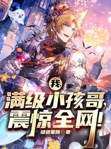 《我，满级小孩哥，震惊全网！》小说封面