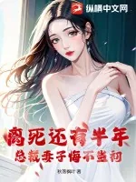 《离死还有半年，总裁妻子悔不当初》小说封面