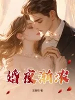 《婚夜渐浓》小说封面