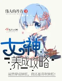 《女神养成攻略》小说封面
